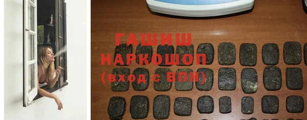индика Абаза