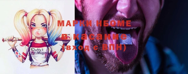 ECSTASY Алзамай