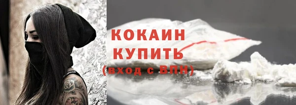 индика Абаза