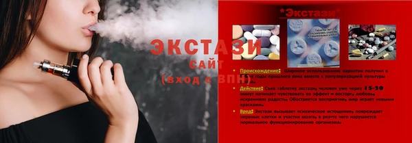 индика Абаза