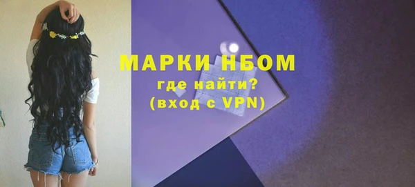 индика Абаза