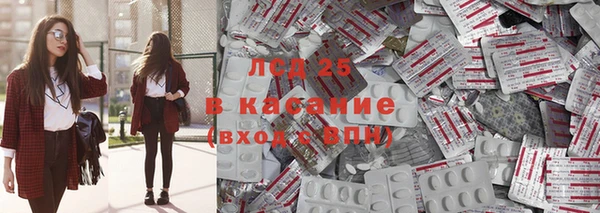 индика Абаза