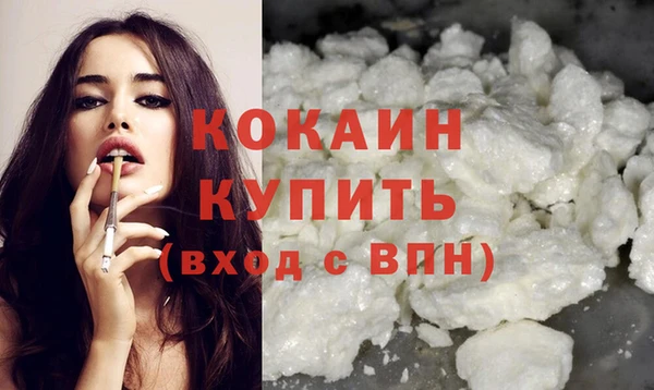 индика Абаза