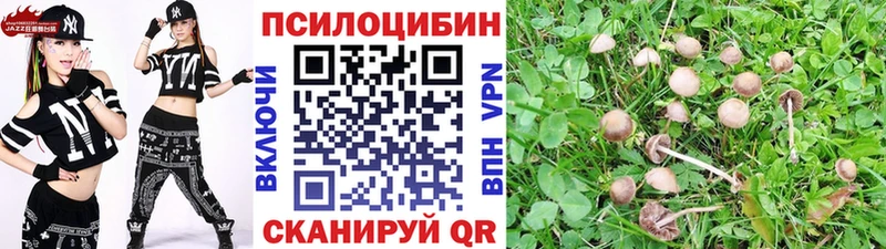 цена   Салават  Псилоцибиновые грибы Magic Shrooms 